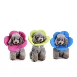 플라워 넥카라M(그린) 음방지 긁기방지 애견 강아지 고양이 깔대기 반려견