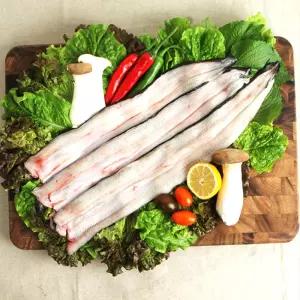 SB 고창 풍천 자포니카 민물장어 (손질) 1kg