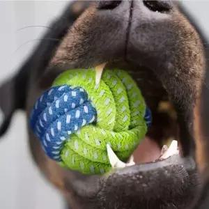 강아지 실타래 로프 장난감 매듭볼 색상랜덤 1P 터그