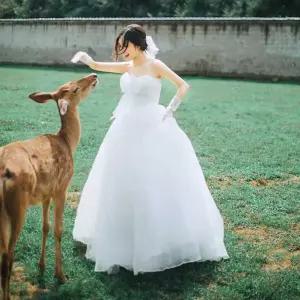 레트로 웨딩드레스 복고풍 스튜디오 웨딩 단일 의상 셀프