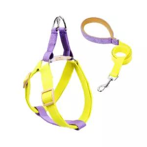 반려견 가슴줄 강아지하네스 투톤 리드 바디 산책 목줄 고양이 애줄 동물 소형 중형 가슴 앞섬방지