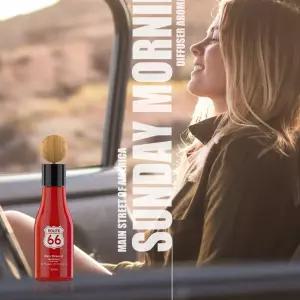 차량용 은은한 방향제 샤인미스트자동차 디퓨저 룸스프레이 향수 탈취제 용탈취제 석고 천연 용방향제 용퓨