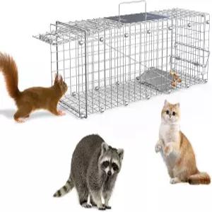 살아있는 동물 덫 우리 인간적으로 접을 수 있는 고양이 작은 너구리 비버 다람쥐 그라운드호그