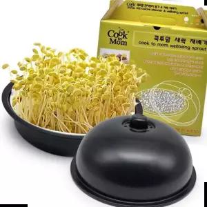 키우기 (국내생산) 콩나물재배기 새싹키우기 유치원 어린이집