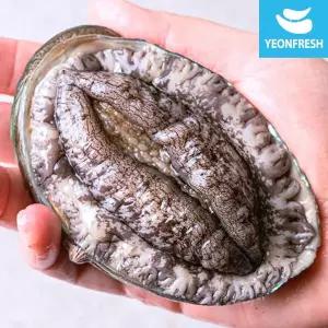 [신세계라이브쇼핑]완도활전복 1kg 4-5미(미당 200g내외) [산소팩, 무료배송]