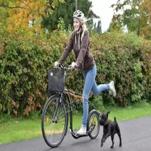 걷는자전거 야외 바이크 페달 2륜 산책 휴대용 서서타는