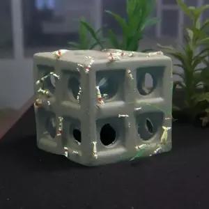 체리 새우 관상용 애완 키우기 구피 엔젤피쉬 새우은신처 쉼터