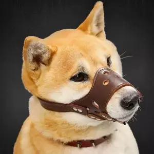 [알티피아]가죽 강아지 입마개 짖음 방지 마스크 반려동물 훈련용품