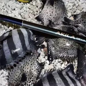 서프 낚시용 원투 캐스팅대 민물 바다 낚싯대 피싱 로드