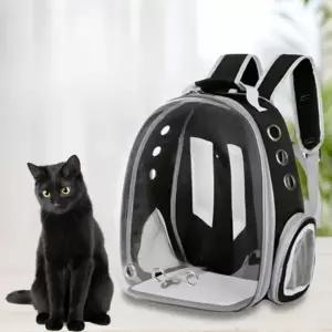 ( )반려동물 투명 백팩 고양이 강아지 외출 이동가방