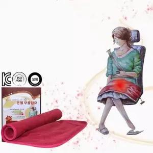 히트젠 열선 무릎담요 12V 승용 RV전용 온열담요 자동차담요 열선담요 열선방석