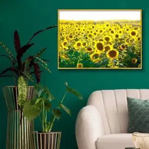 6.해바라기사진_A2 골드알루미늄