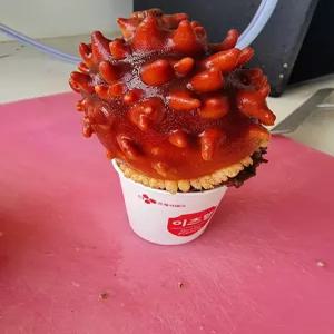 활멍게 1kg 3-5미