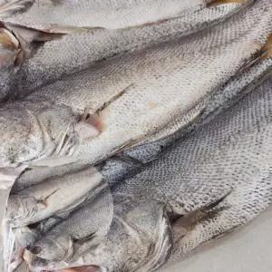 반건조 민어 8미 국내산 국산건조민어 민어찜 민어손질