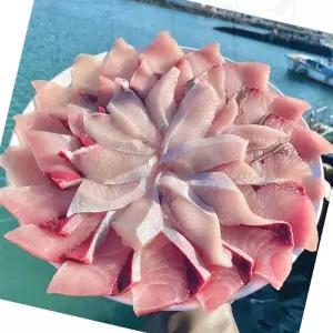 제주대방어 마라도 겨울 횟감 자연산 필렛 손질