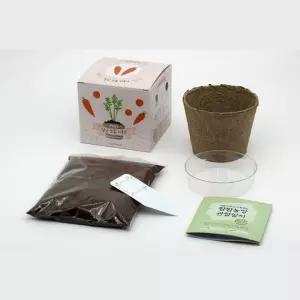 5인세트 초등어린이식물키우기 자연관찰 당근모종키우기 모종심기 식물키트