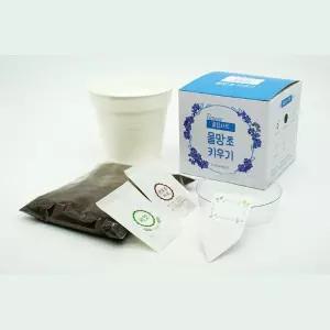 어린이식물키트 화분키우기 친환경화분DIY 물망초키우기 식물재배 미니텃밭