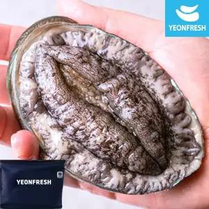 [신세계라이브쇼핑][선물포장] 완도활전복 1kg 4-5미 (미당200g내외)