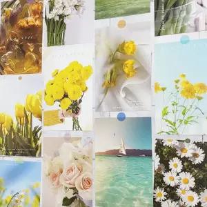 생일카드 엽서 감성 예쁜 인테리어 편지 선샤인 다꾸 촬영소품 사진