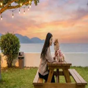 [전남/여수(돌산)] 여수 댕댕이 애견 가족 펜션 골드 (낚시/바다(도보5분)/해수욕장/주차장/애견/독채/오션뷰/공용수영장(실외)/개별바베큐/복층/커플/가족)