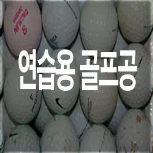 로스트볼 100개 연습용 골프공 중고골프볼