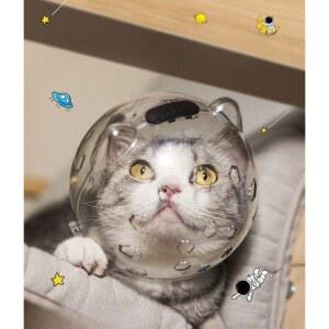 투명 보호구 손톱깎이 안면 2 5 5kg A 수납 가드 보호캡 넥카라 마스크