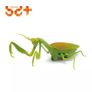 리얼한 움직임 무선조종 사마귀 장난감 작동로봇 동물인형 5세 4세 조카선물 모형완구