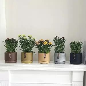 [셀러허브 식품]바이오 소재 플라스틱 화분 15x16cm