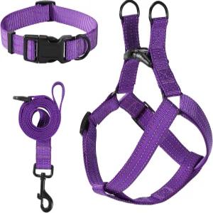 마일 하이 라이프 나이트 반사 이중 조절 밴드 나일론 작은 강아지 애완견 목걸이 및 하네스 세트(반사