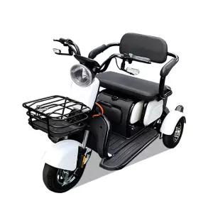 신일테크 SR 7 배달용전동차 보조바구니 시골 풋 브레이크 전기스쿠터