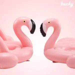 버키 튜브 플라밍고 핑크 100cm