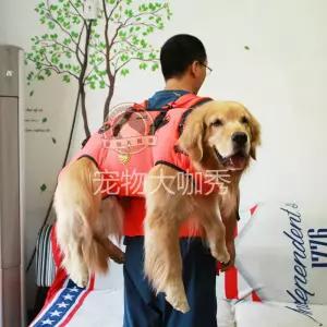 대형견 들것 이동 외출가방 산책 포대기 강아지 반려견