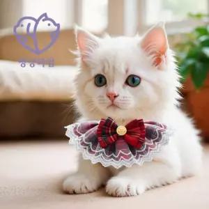 멍냥타임 JK 고양이 강아지 레이스 심플 케이프 고양이넥카라 고양이케이프