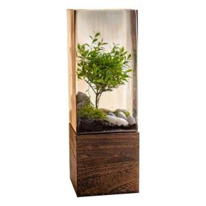 수중 일본식 벽장식 수생식물 식물 젠스타일 원목 유리 복고풍 책상 심플 소품 화병