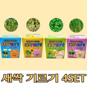 새싹기르기 무순+비타민+유채+보리 새싹키우기 특가 4 WFGGCDR
