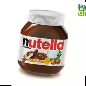 초코잼 악마의 잼 누텔라 370g X3