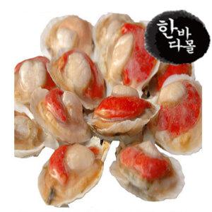 [한바다몰] 반 가리비 하프 가리비 구이