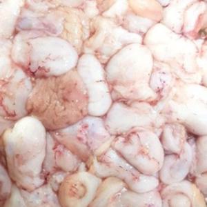 아귀내장 국내산 급냉 손질 아귀 대창 위  1kg