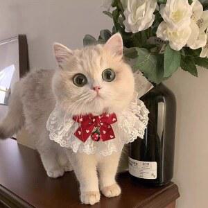 강아지 스카프 고양이 케이프 장식 턱받이 카라 리본 레이스 소형견 목걸이 귀여운