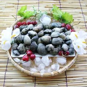 서해안 태안 갯벌 자연산 생물 활바지락 술찜 구이 혼술 안주 가정용 업소용 3KG