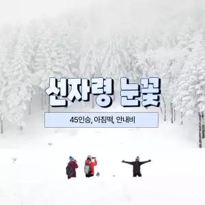 강원 선자령 눈꽃 트래킹 당일여행