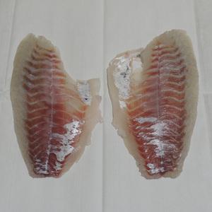 삼천포 해녀횟집 싱싱 감성돔회 한마리 필렛