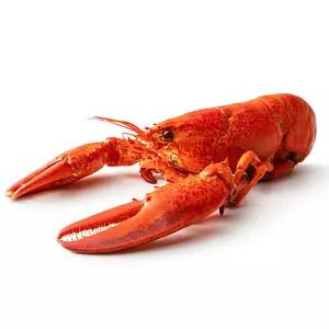 캐나다 홀 자숙 랍스터 400 - 450g 냉동 바닷가재 버터구이 용