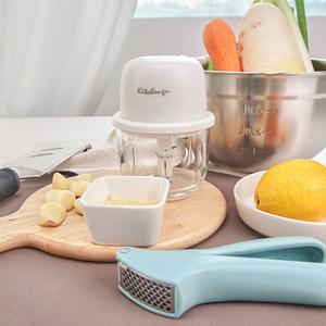 키친구 유리 전동 미니 다지기 300ml + 민트 마늘짜개 찧기 빻기 으깨기