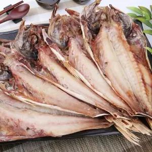 파란별 반건조 볼락5미(37cm내외)