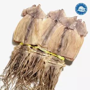 동해안 건조 마른 오징어 1축 20마리 800g  1kg   1.2kg모음 / 국내건조 건오징어