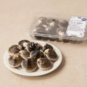 [생물][국산] 생 모시조개 (300g 해수포장)