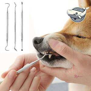 강아지 고양이전용 관리용 도구 치아 스케일링tuv431