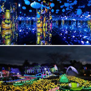 [제주] 아이바가든+불빛정원 / 제주도 가족여행 미디어아트 야간관광지