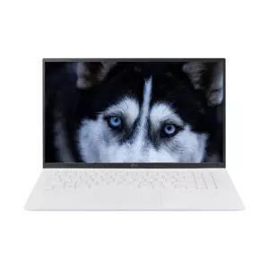 LG전자 LG그램 15Z90R-GA56K SSD 512GB 교체